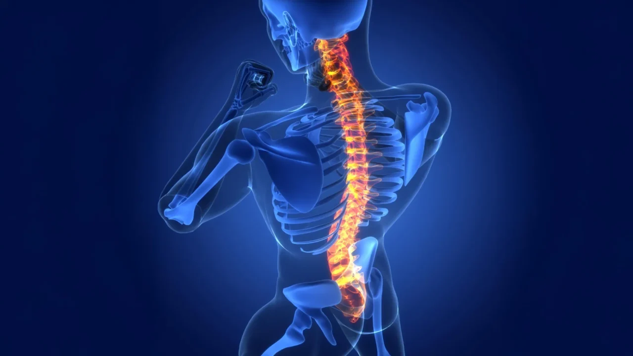 Scientists discover hidden brain cells that help heal spinal cord injuries