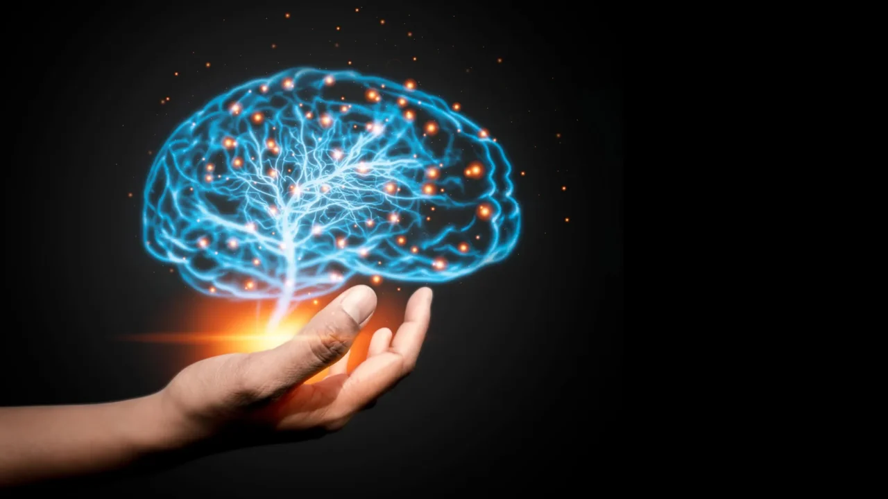 The Brain’s Mechanical Maestro: How Tissue Stiffness Directs Neural Development and Shapes Chemical Signals