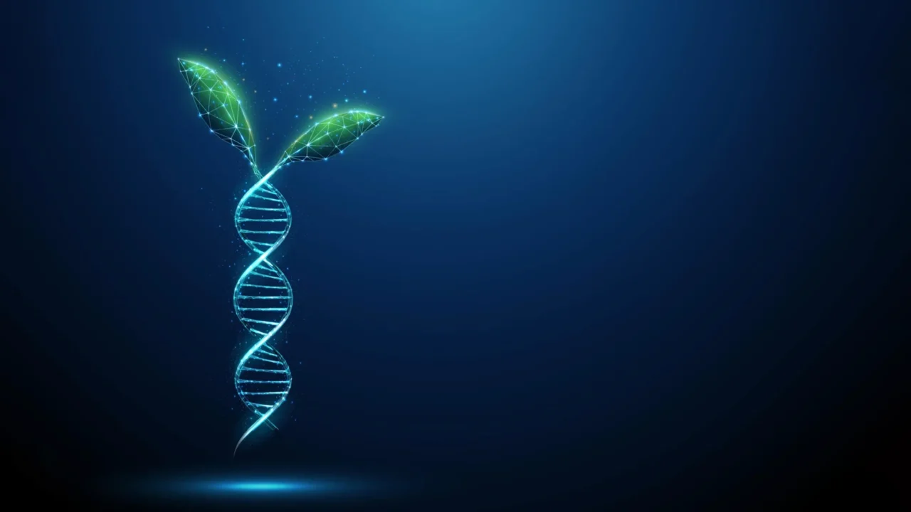 Unveiling Deep Time’s Blueprint: Ancient Regulatory DNA Rewrites Plant Evolutionary History.