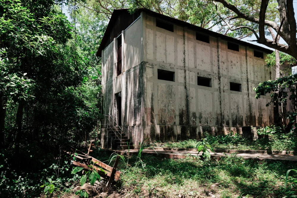 Costa Rica’s Cinematic Canvas: From Island Prisons to Untamed Wilderness