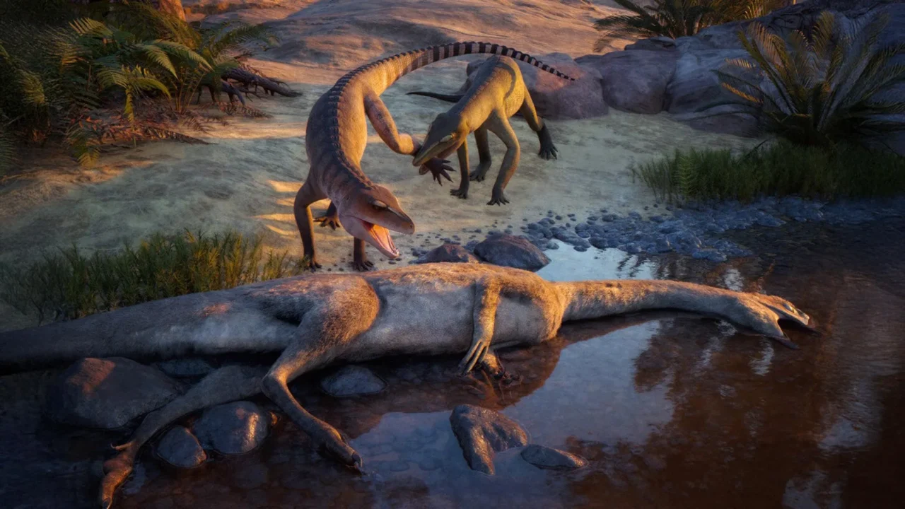 Yale Paleontologists Uncover Eosphorosuchus lacrimosa, a New Proto-Crocodile Illuminating Triassic Ecosystems.