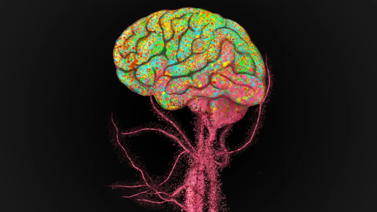 A Decades-Long Understanding of Brain Immunity Is Upended by Stanford Researchers.
