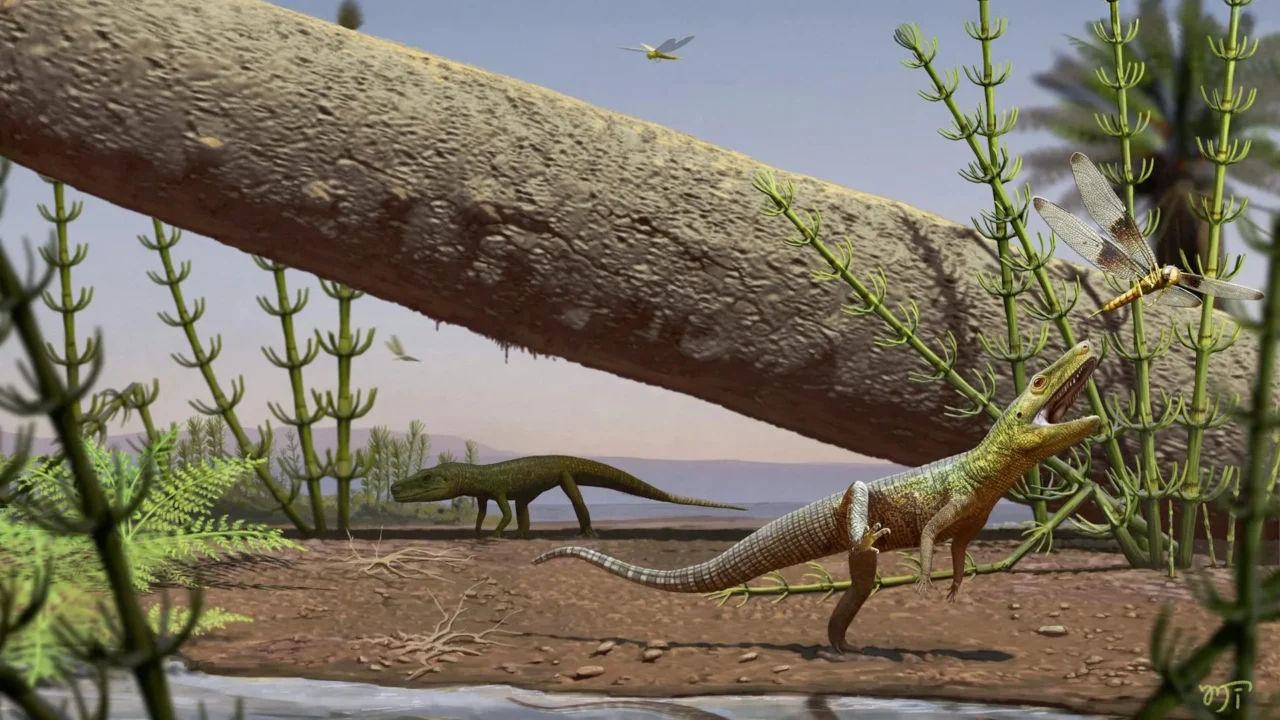 Ancient Reptile Discovery in Southern Brazil Fills Critical Evolutionary Gap for Dinosaurs and Crocodiles