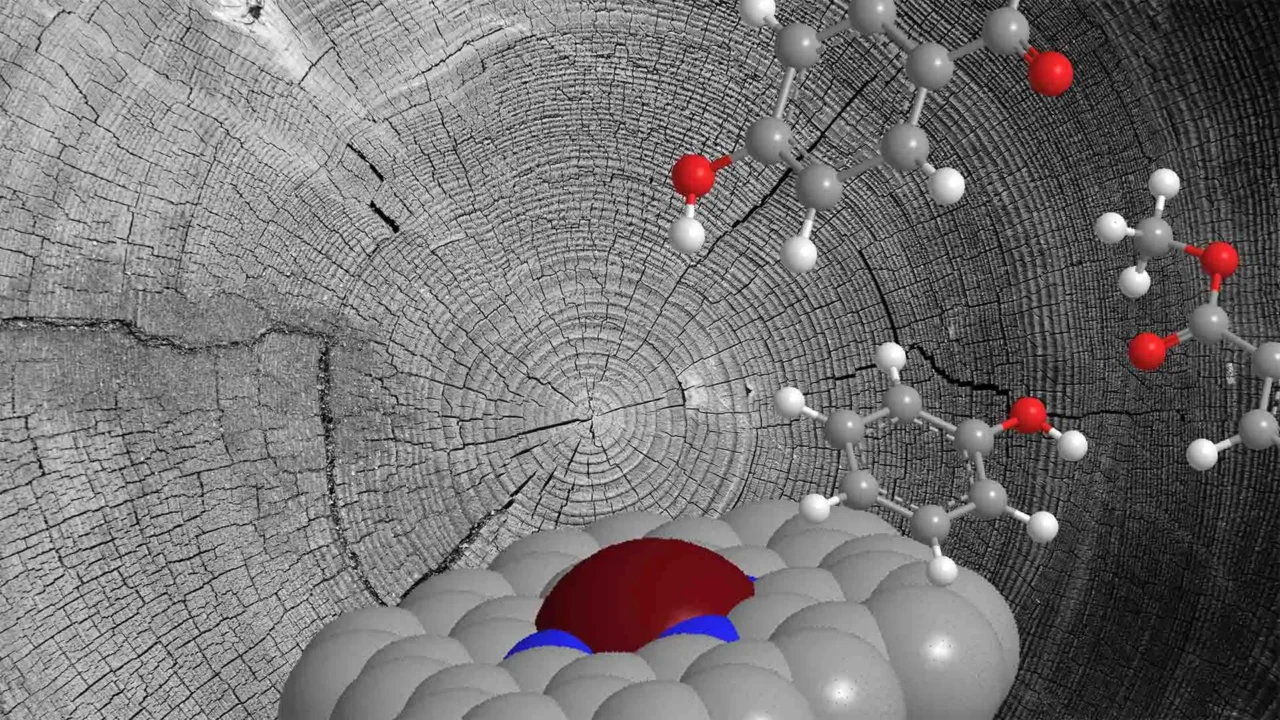 Atomic catalyst unlocks the hidden value of plant waste