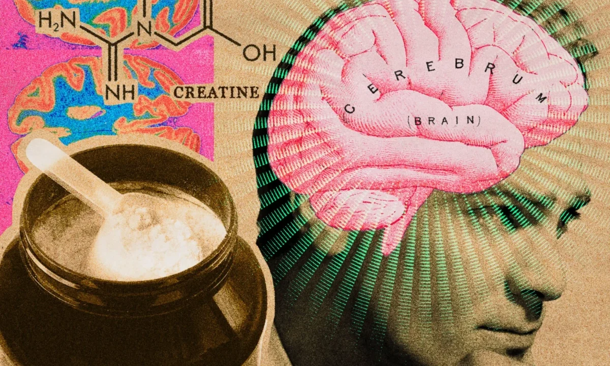 Beyond the Muscle: How Creatine is Emerging as a Breakthrough Nootropic for Brain Health and Cognitive Performance