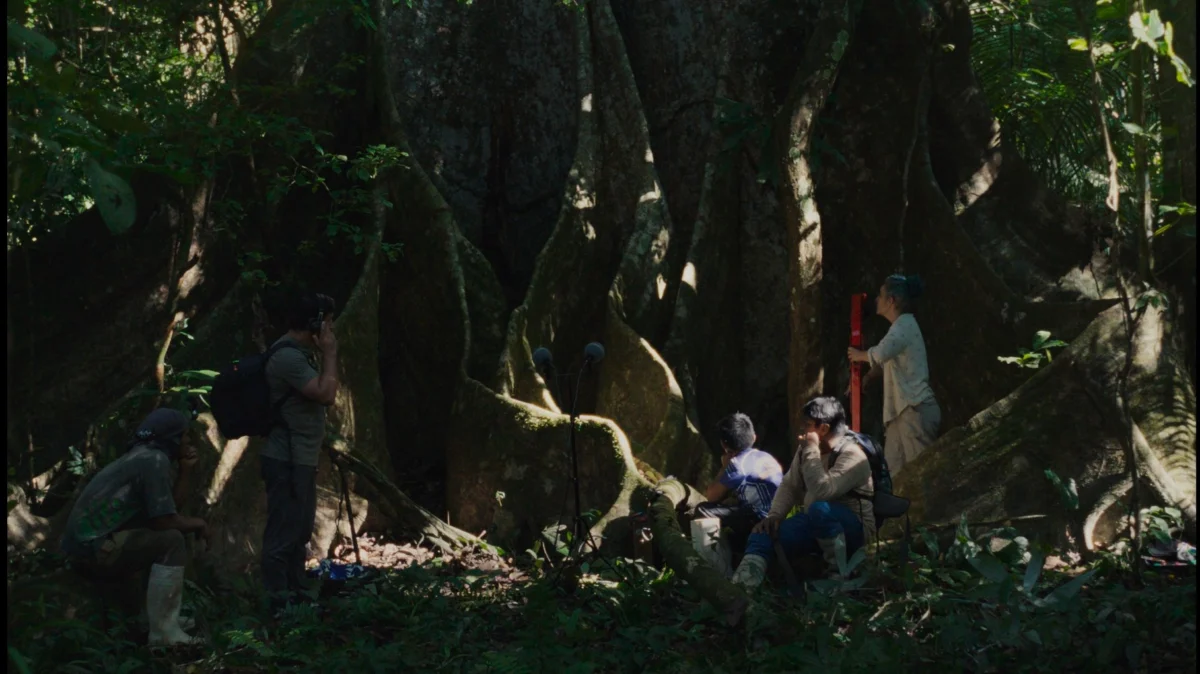 Far From the Trees.