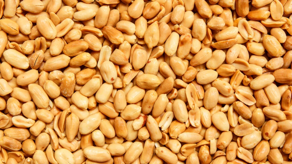 Fecal Microbiome Transplants Show Early Success in Increasing Tolerance for Peanut Allergy Sufferers.