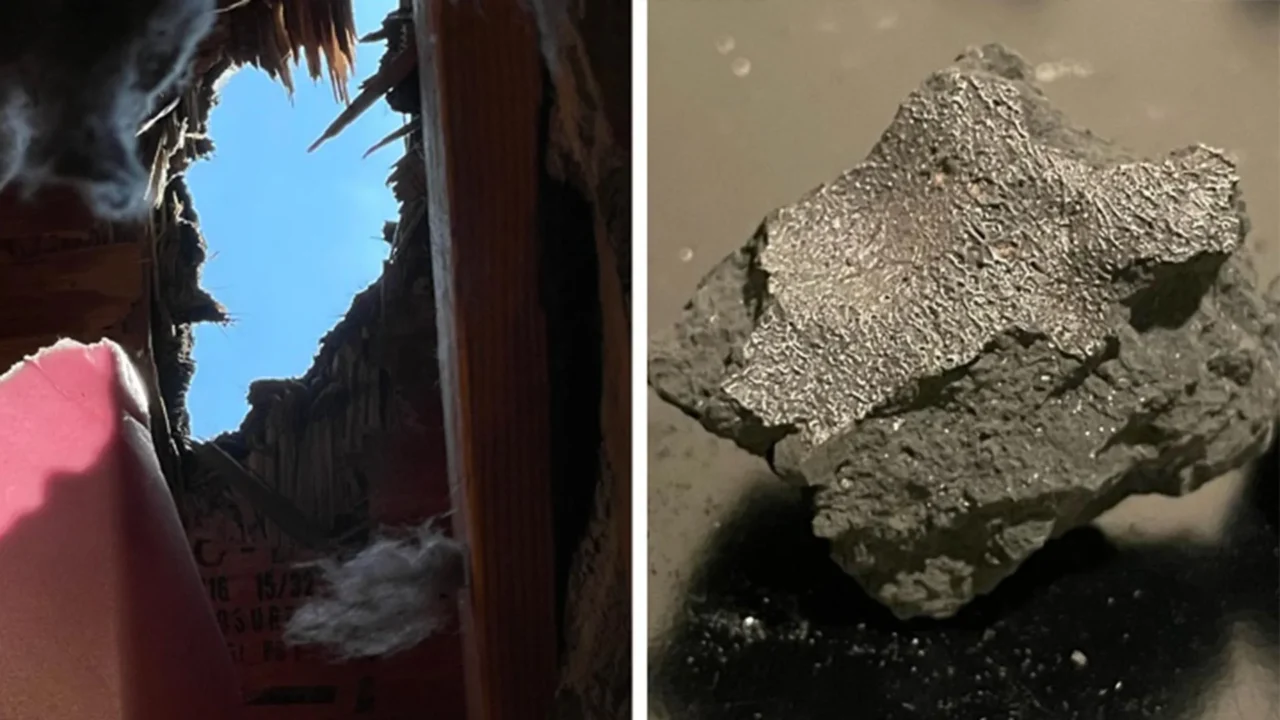 Meteorite that smashed through a New Jersey roof reveals clues to life’s origins