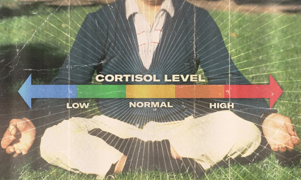 Should You Worry About Your Cortisol Levels?