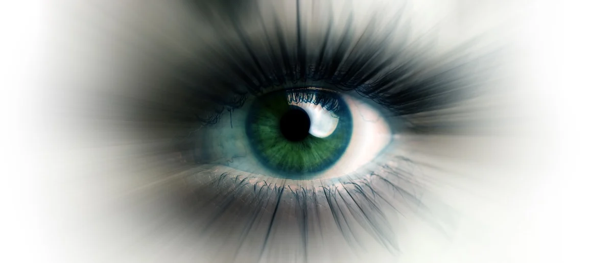 The Future of Brand Visibility in the Age of AI: How to Become Part of the Answer