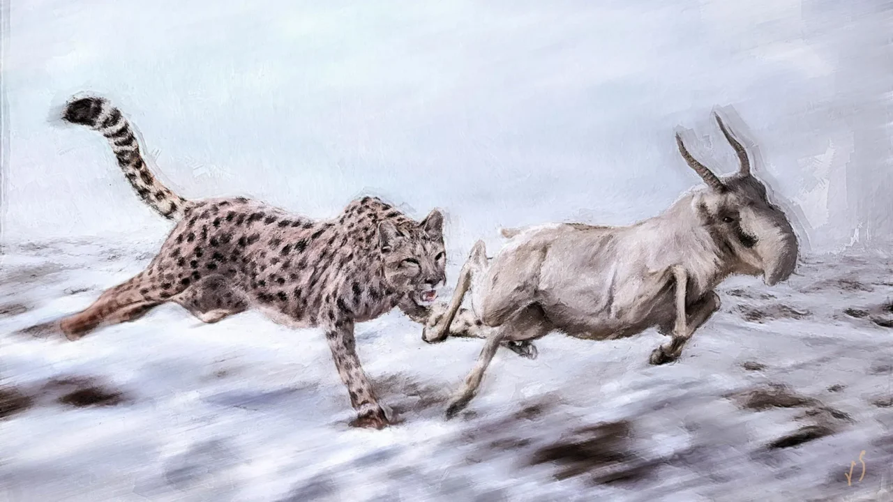 Unmasking the American Cheetah: A Tale of Evolutionary Convergence and Arctic Adaptations